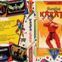 shanghai karate 20140731